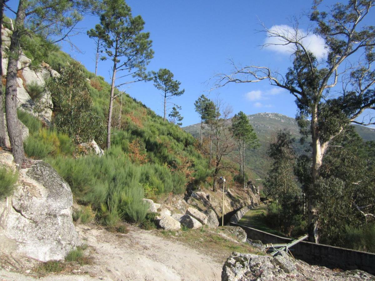 Casa Miguel Βίλα Sabugueiro  Εξωτερικό φωτογραφία